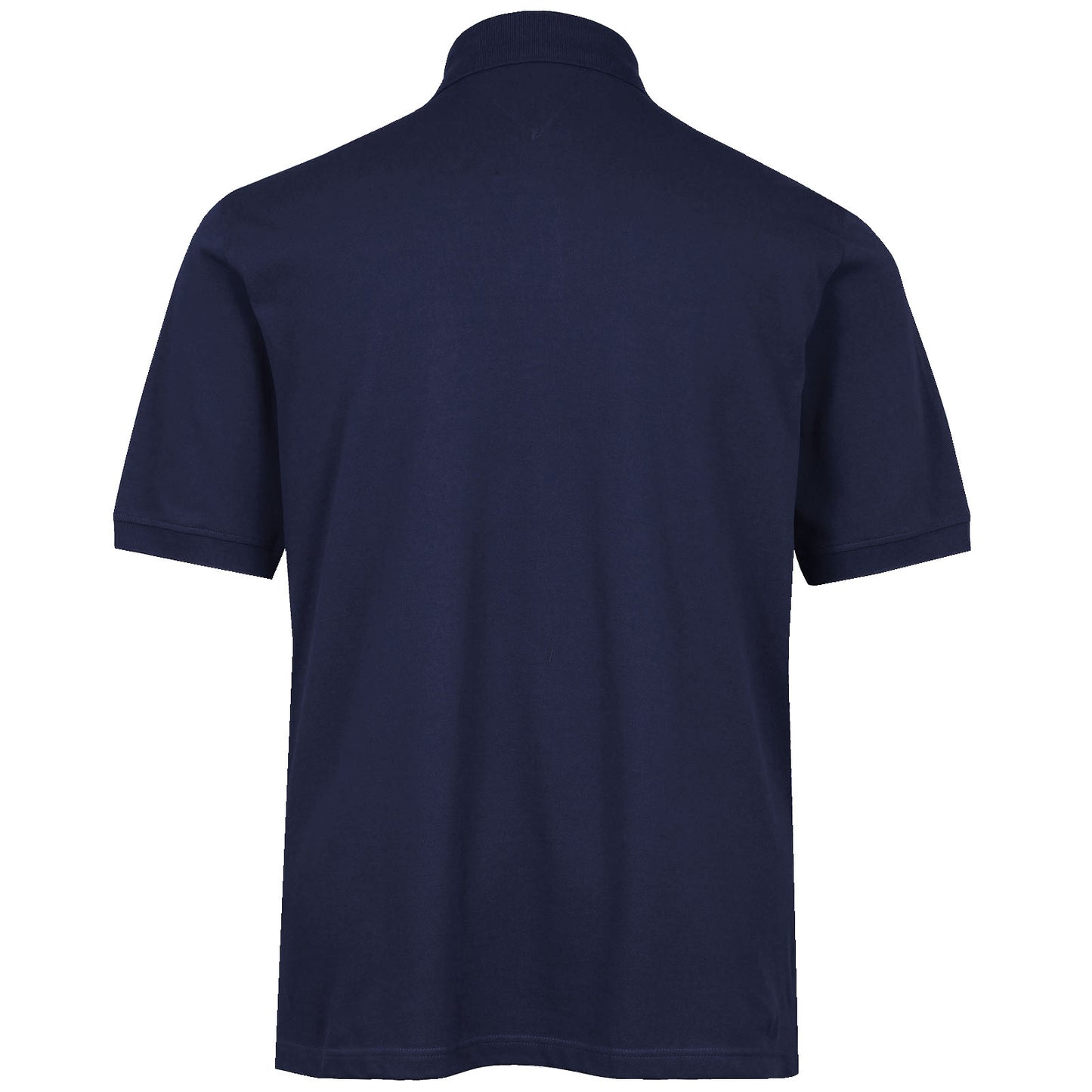 Tommy Hilfiger Plus Size 1985 Regular Polo Desert Sky