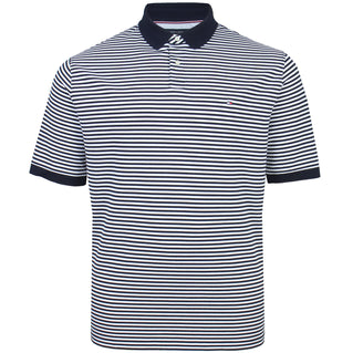 Tommy Hilfiger Plus Size 1985 Striped Polo Desert Sky/White