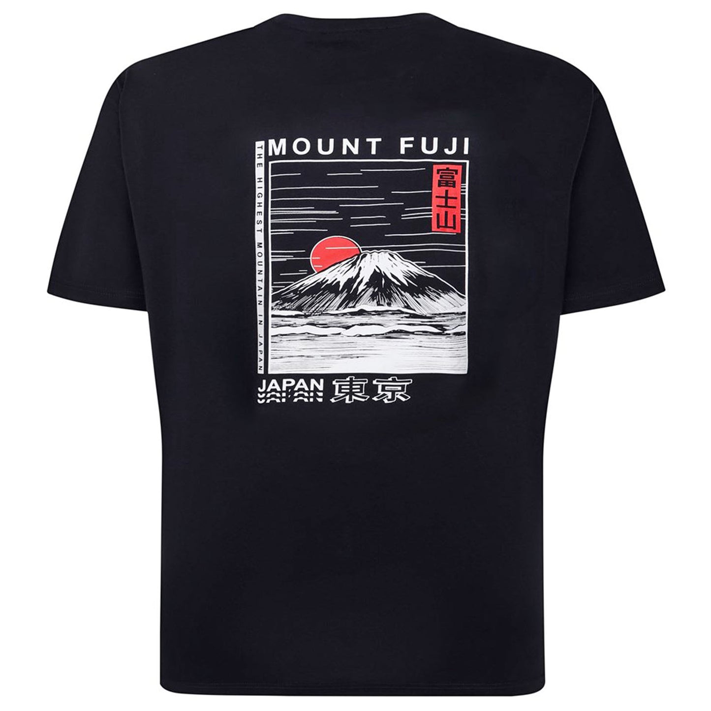 Espionage Plus Size Mount Fuji Back Print T-Shirt Navy