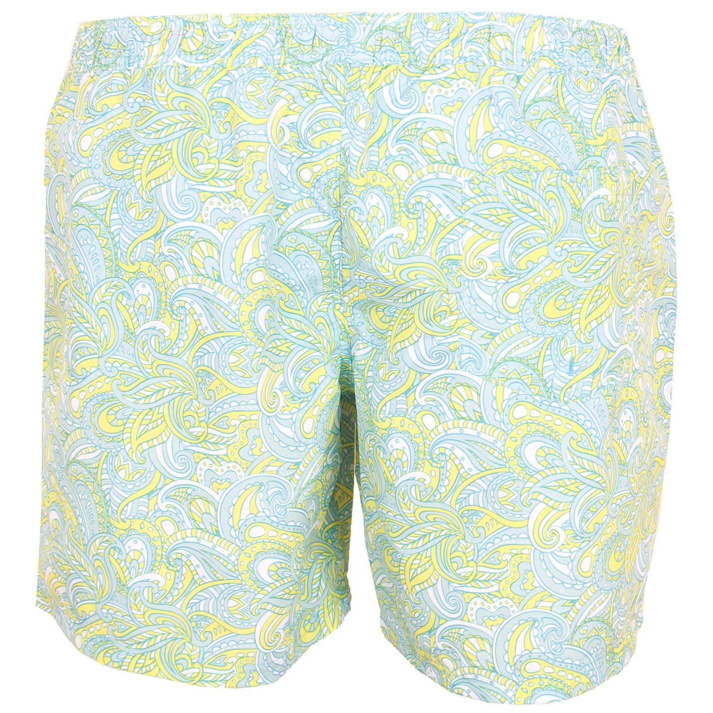 Jack & Jones Plus Size Fiji Paisley Swim Shorts Ethereal Blue