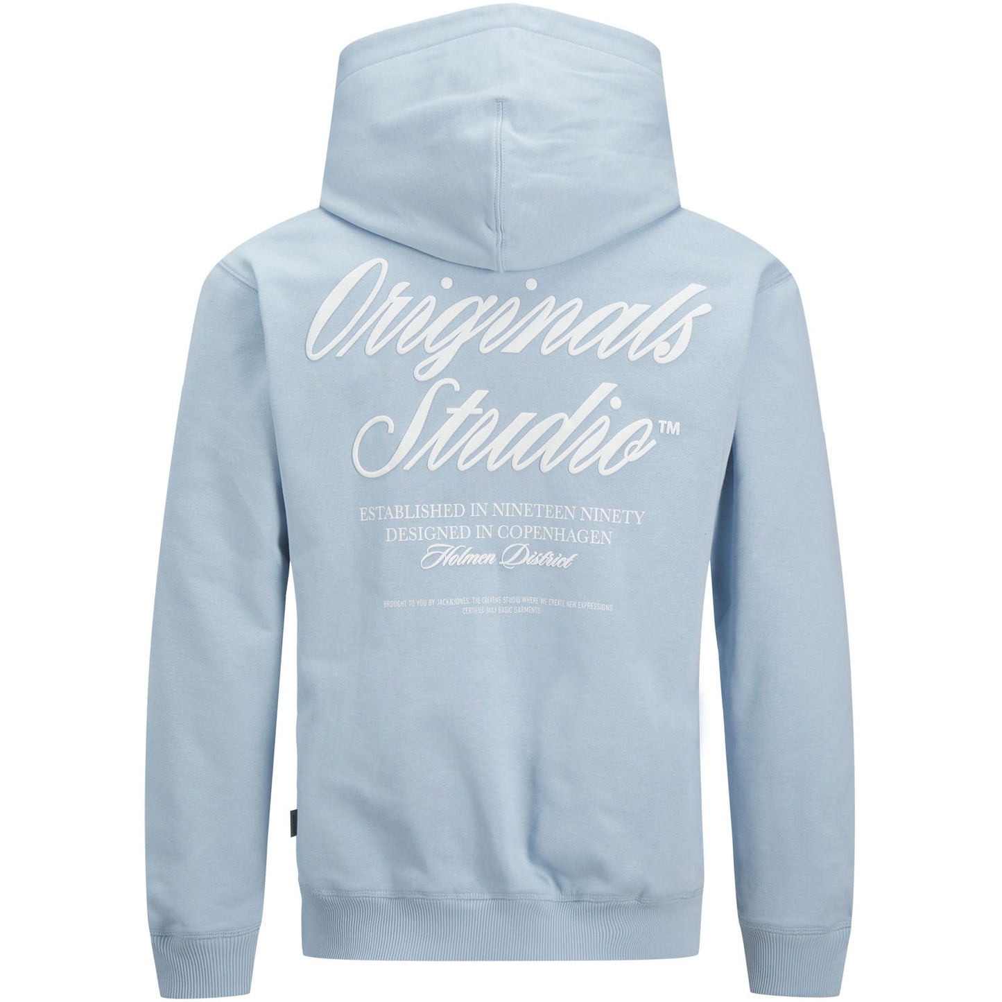 Jack & Jones Plus Size Norrebro Typo Back Print Hoodie Skyway