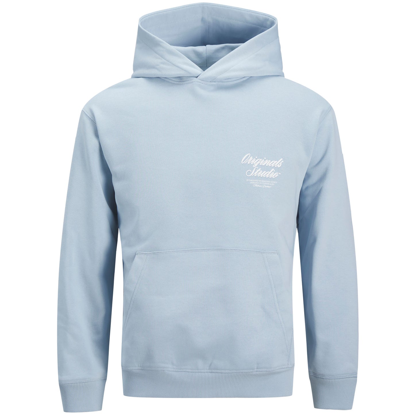 Jack & Jones Plus Size Norrebro Typo Back Print Hoodie Skyway