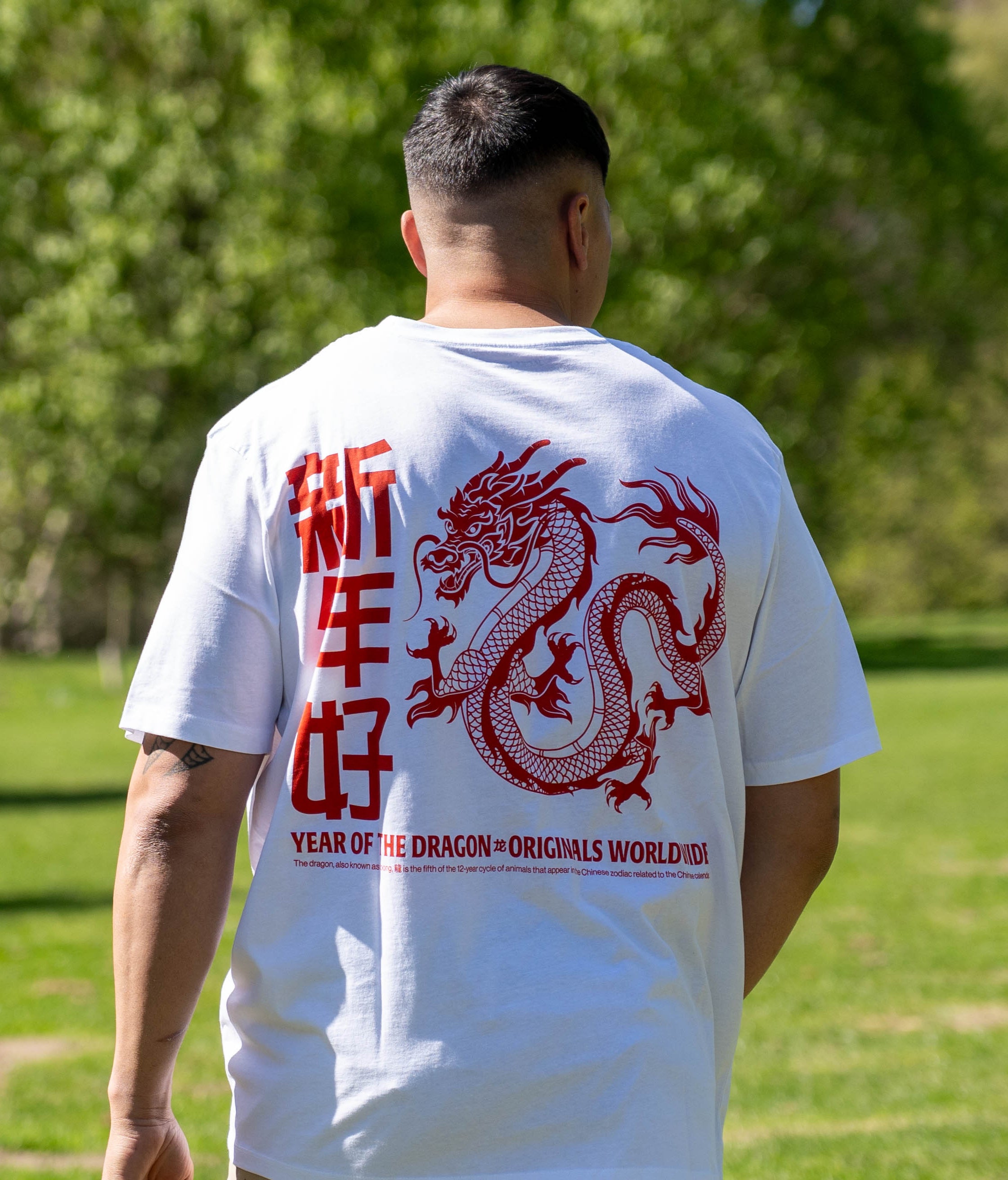 mens plus size t shirts