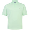Tommy Hilfiger Plus Size 1985 Regular Polo Opal Green