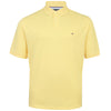 Tommy Hilfiger Plus Size 1985 Regular Polo Citronella