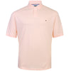 Tommy Hilfiger Plus Size 1985 Regular Polo Whipped Papaya