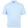 Tommy Hilfiger Plus Size 1985 Regular Polo Breezy Blue