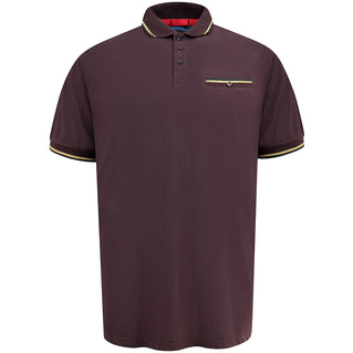 D555 Plus Size Redditch Jacquard Trim Polo Burgundy