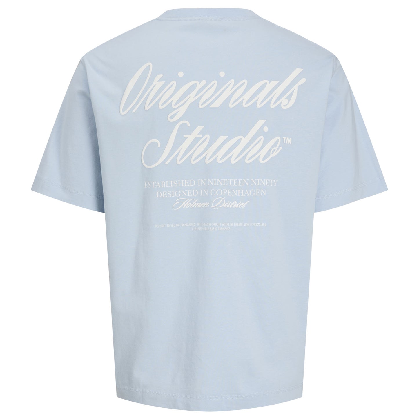 Jack & Jones Plus Size Norrebro Typo Back Print T-Shirt Skyway