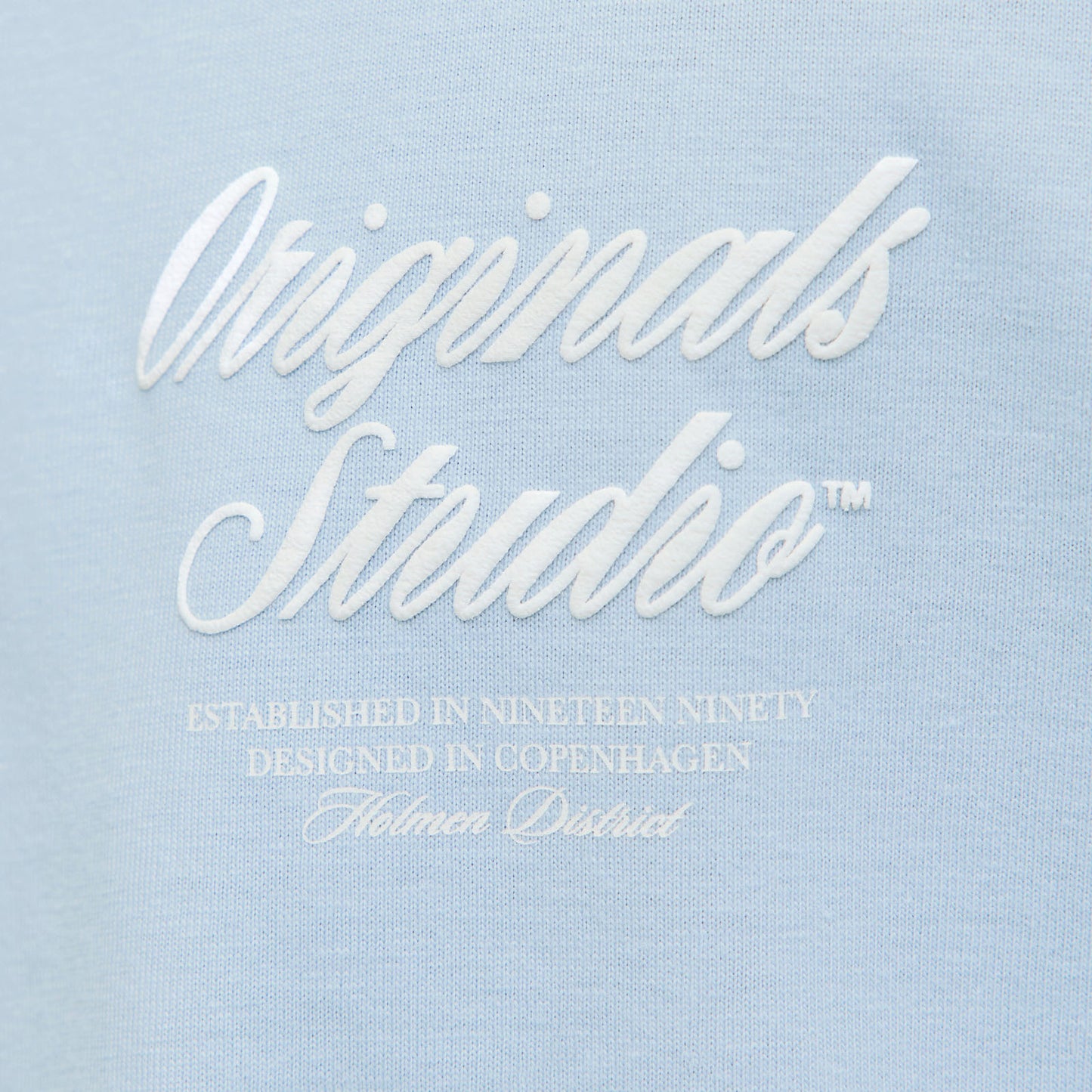 Jack & Jones Plus Size Norrebro Typo Back Print T-Shirt Skyway