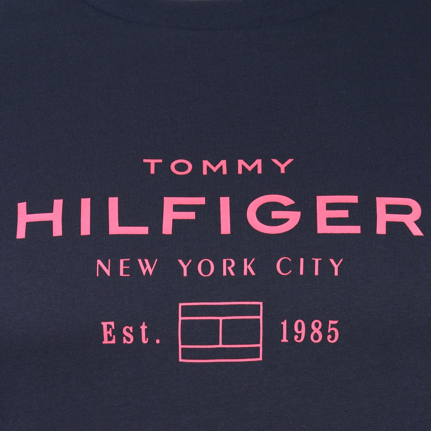 Tommy Hilfiger Plus Size Stack Graphic T-Shirt Desert Sky