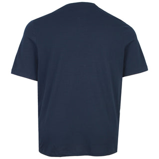 Tommy Hilfiger Plus Size Colour Graphic T-Shirt Desert Sky