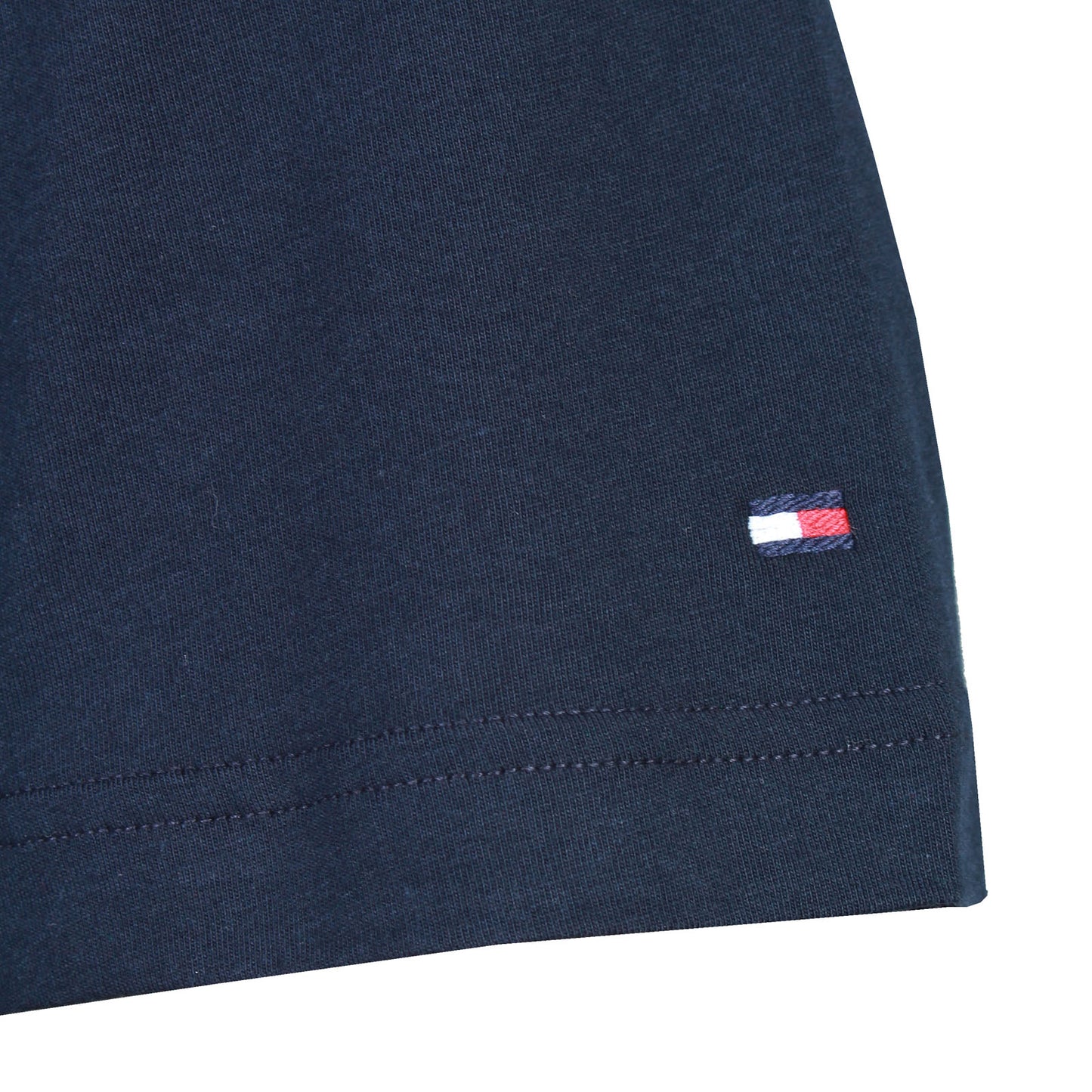 Tommy Hilfiger Plus Size Colour Graphic T-Shirt Desert Sky