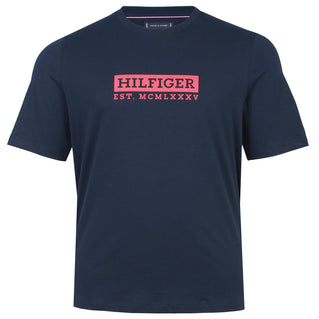 Tommy Hilfiger Plus Size Colour Graphic T-Shirt Desert Sky