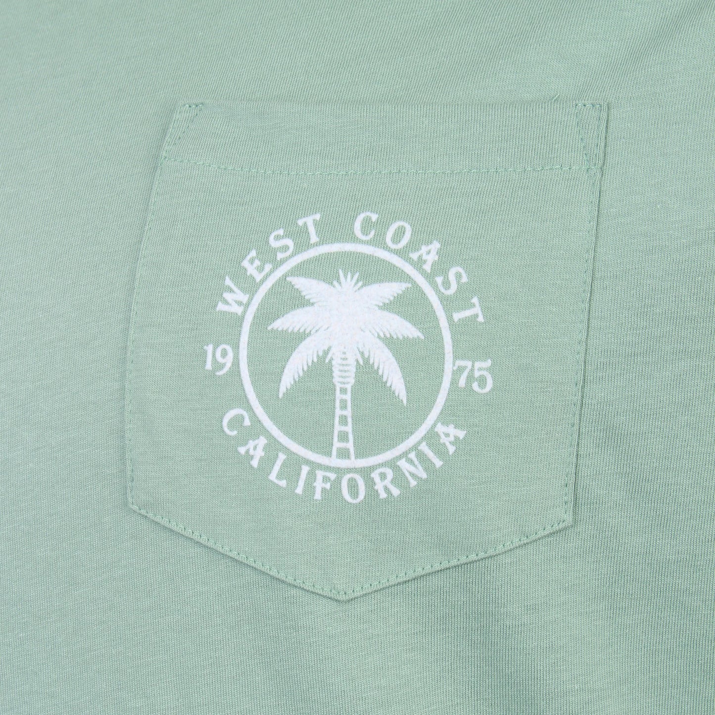 Kam Jeans Plus Size Pasadena (Back Print) T-Shirt Sage