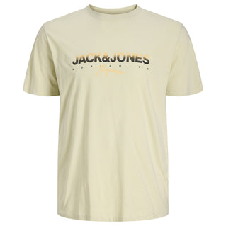 Jack & Jones Plus Size Canggu T-Shirt Celadon Tint