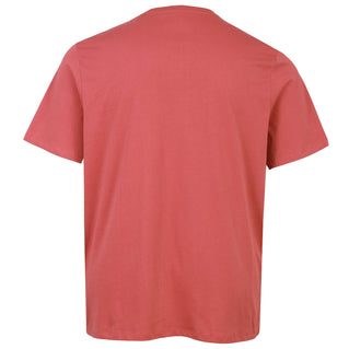 Jack & Jones Plus Size Robar T-Shirt Tandoori Spice