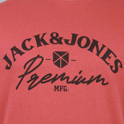 Jack & Jones Plus Size Robar T-Shirt Tandoori Spice