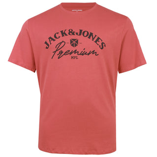 Jack & Jones Plus Size Robar T-Shirt Tandoori Spice