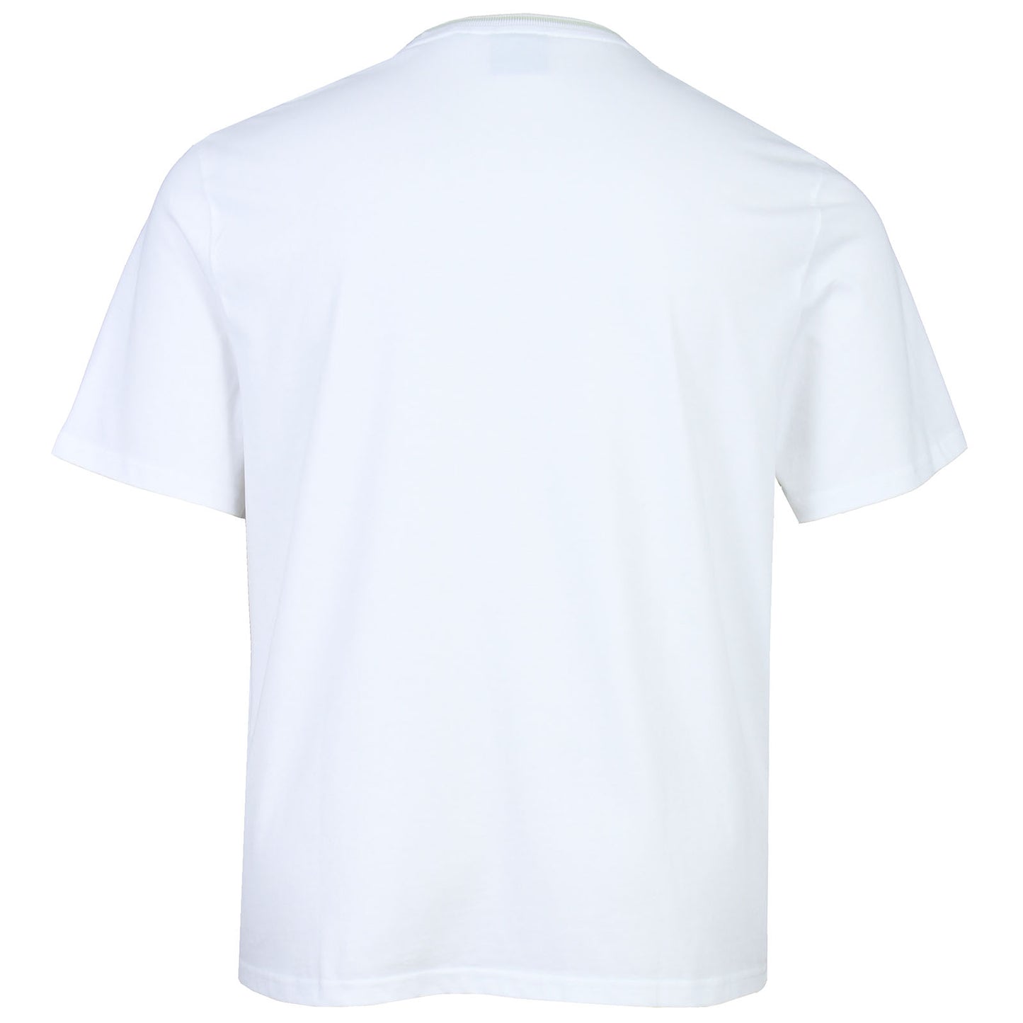 Lyle & Scott Plus Size Tipped T-Shirt White/Soft Matcha
