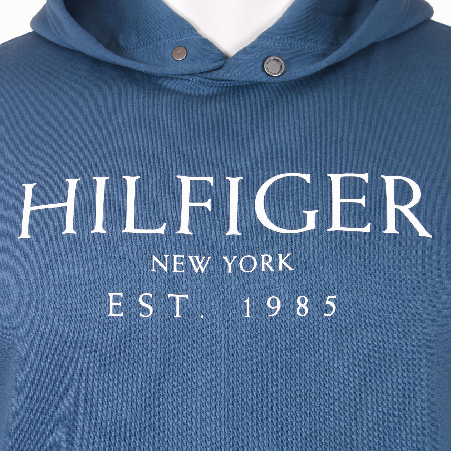 Tommy Hilfiger Plus Size Big Hilfiger Hoodie Aegean Sea