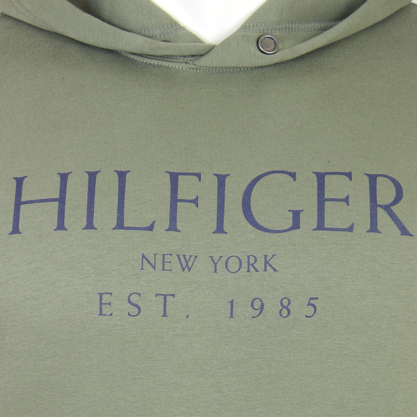 Tommy Hilfiger Plus Size Big Hilfiger Hoodie Battle Green