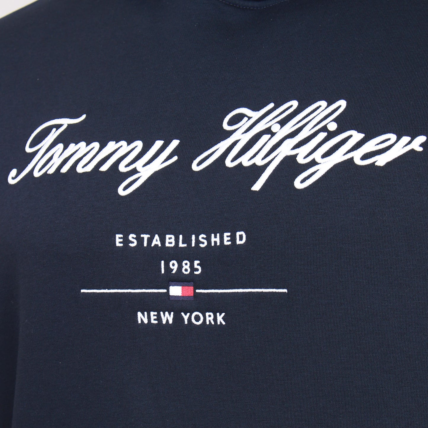 Tommy Hilfiger Plus Size Script Logo Hoodie Desert Sky