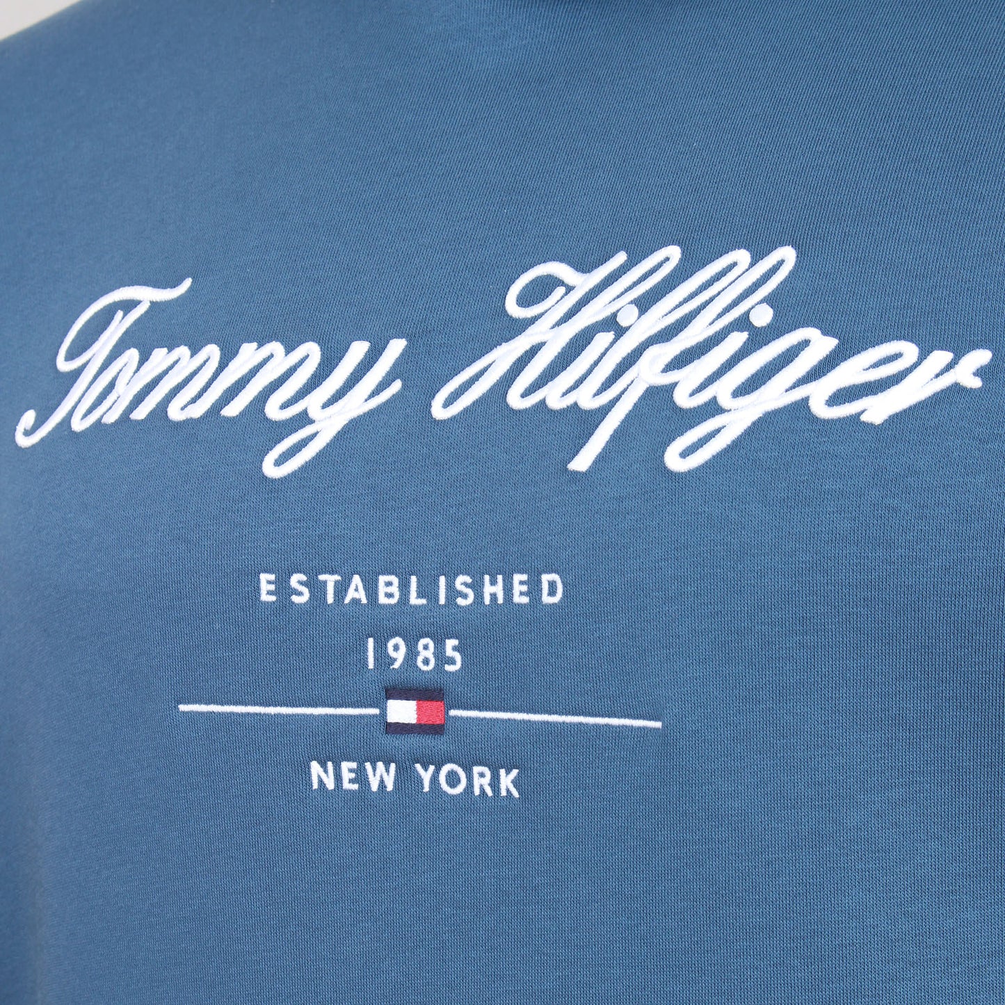 Tommy Hilfiger Plus Size Script Logo Hoodie Aegean Sea