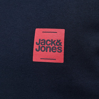 Jack & Jones Plus Size Brandy Crew Sweatshirt Sky Captain