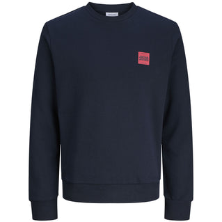 Jack & Jones Plus Size Brandy Crew Sweatshirt Sky Captain
