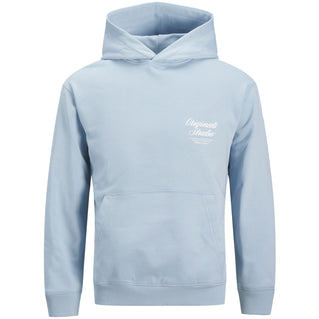 Jack & Jones Plus Size Norrebro Typo Back Print Hoodie Skyway