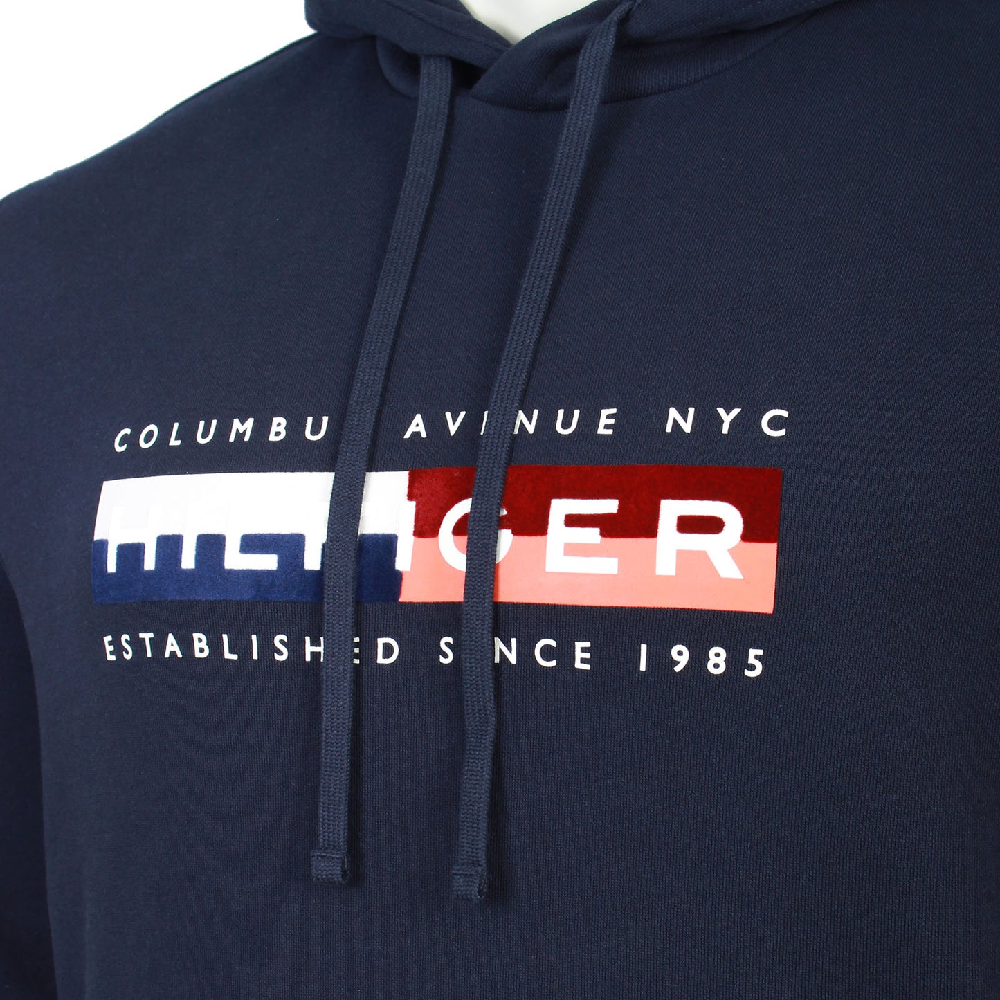Tommy Hilfiger Plus Size Block Graphic Hoodie Desert Sky
