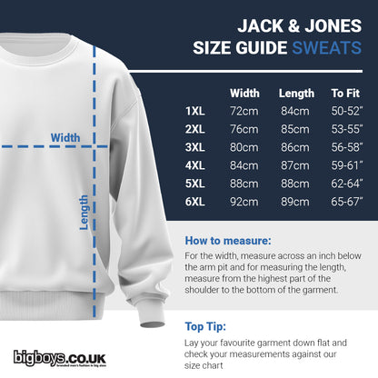 Jack & Jones Plus Size Beau Sweatshirt Sky Captain